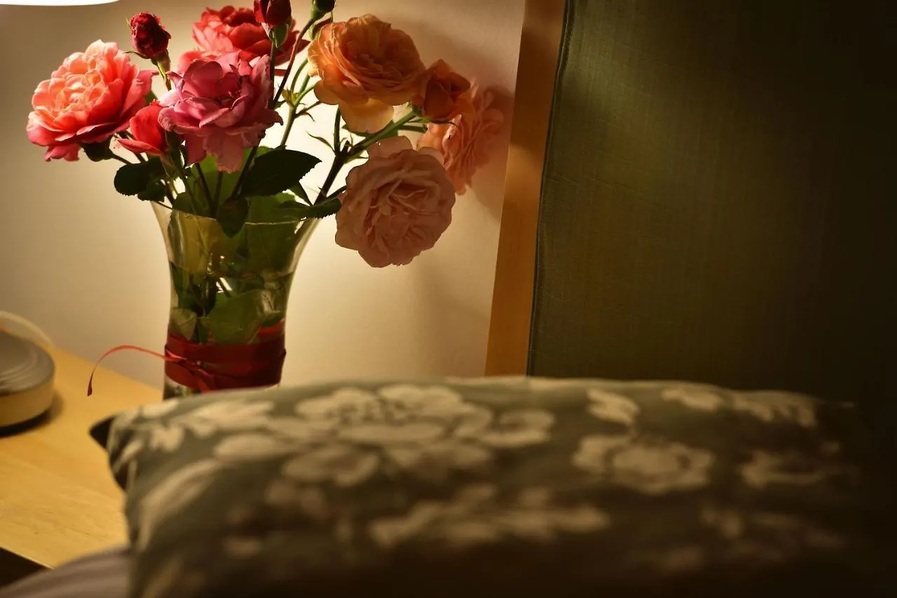 Old Town Apartments Tyn Prague